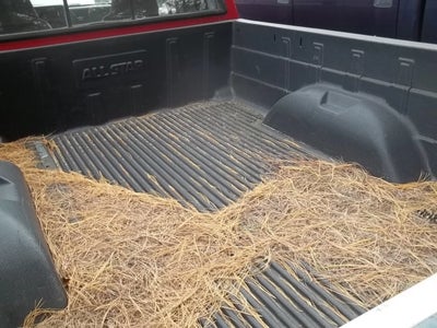 1994 Dodge Dakota Base