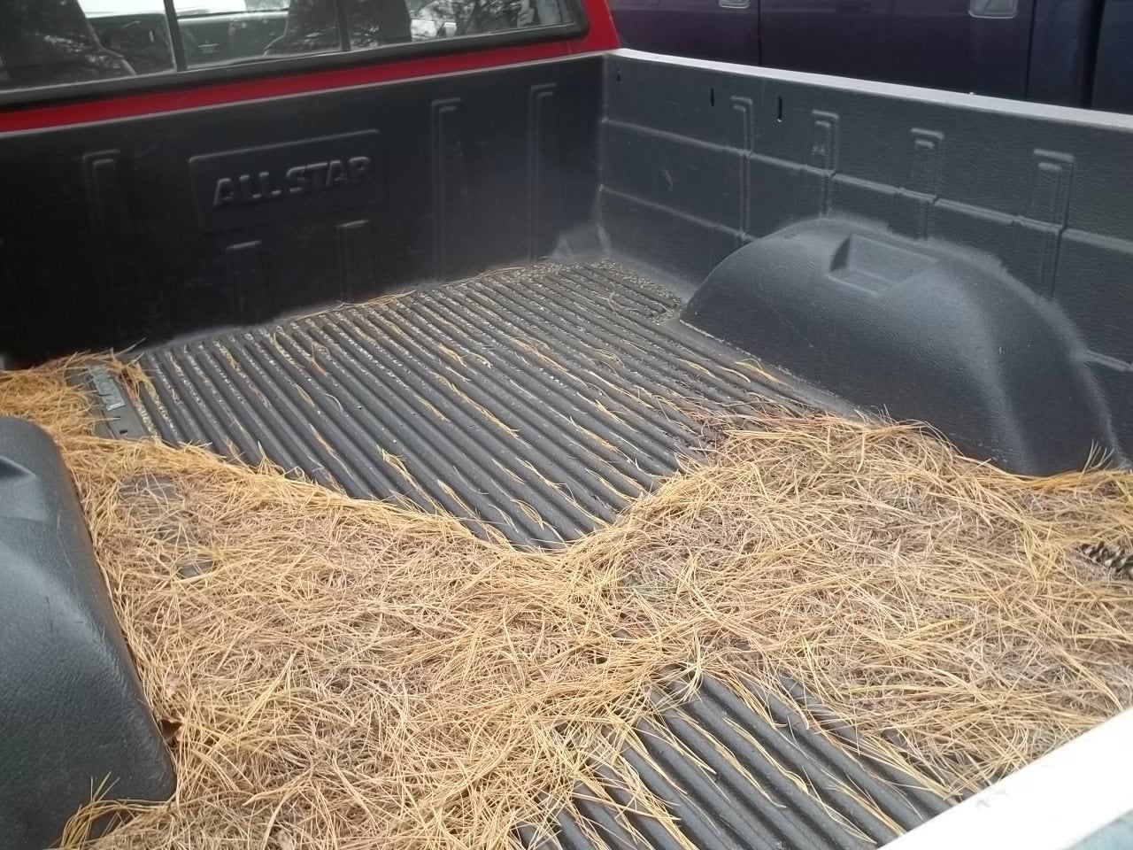 1994 Dodge Dakota Base