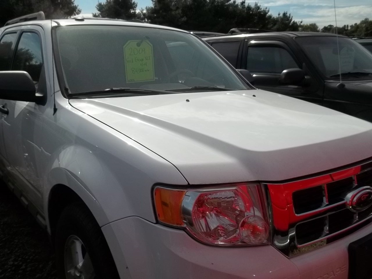2009 Ford Escape XLT